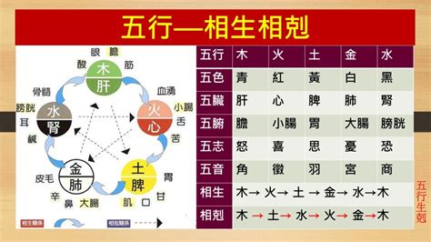 水剋金|五行相生相剋3大重點｜了解五行，改善生活大小